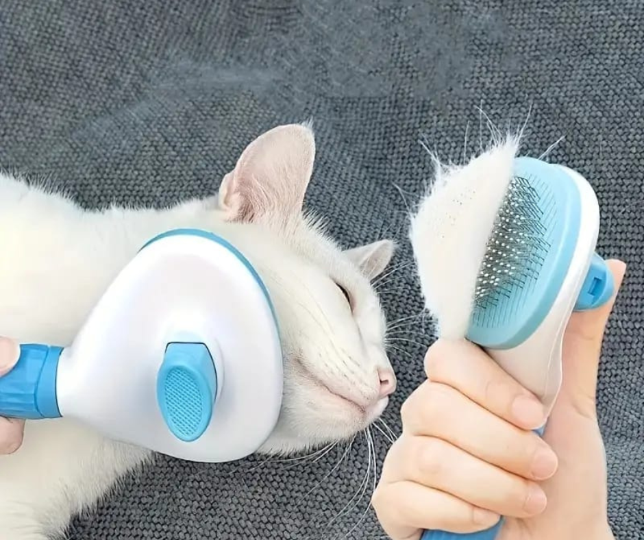 🐶 Cepillo para Mascota 🐱