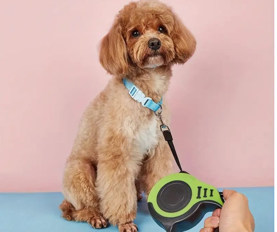 🐶Correa Retráctil para Mascotas🐶