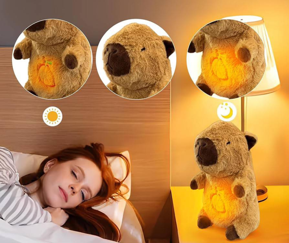 🐻Peluche sensorial Capibara🐻