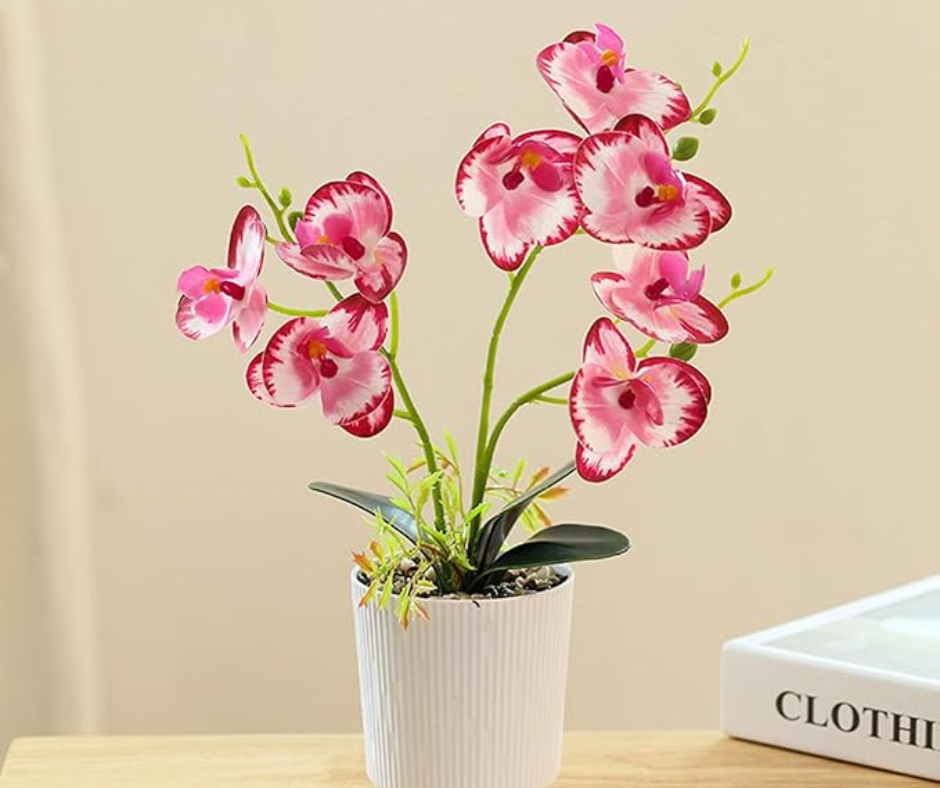 🌺Maceta de Orquídea Artificial🌺