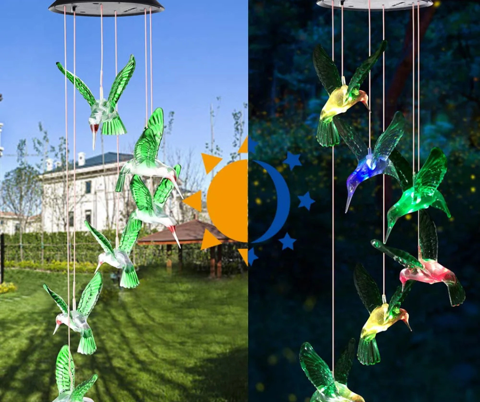 🌿Colibrís Decorativos Solares🌞