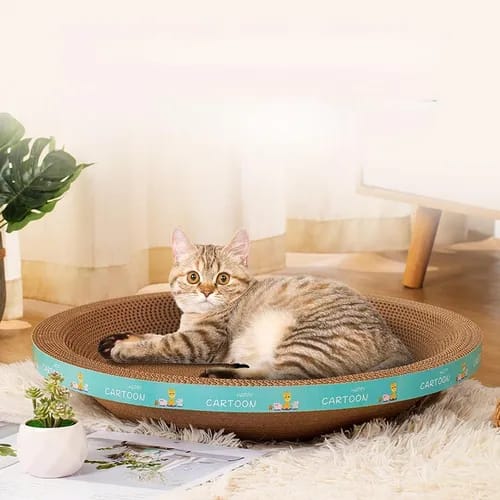 😻Cuenco Rascador para Gatos😻