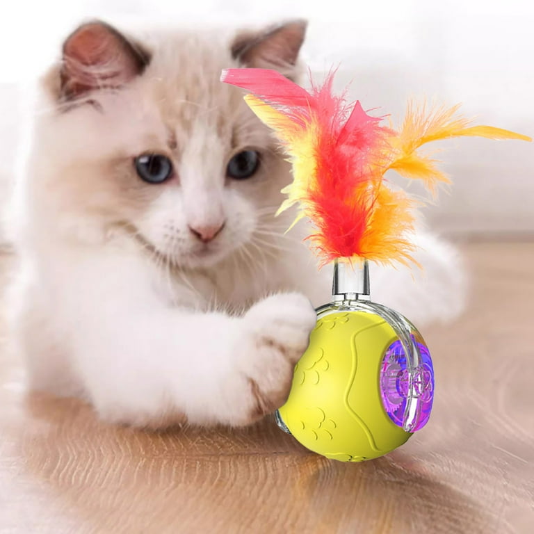 🐶Pelota Pet Gravity🐈