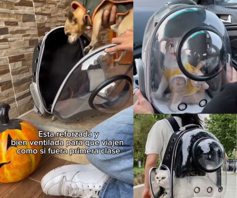 🐶Mochila Transportadora De Mascotas🐱