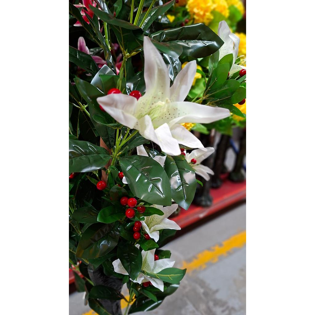 🌳Planta de lirios 💐