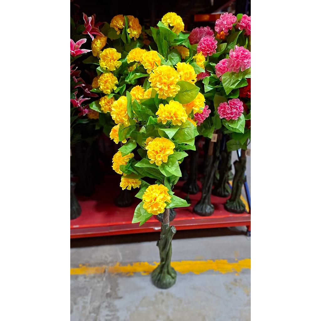 🌳Planta de Tages💐