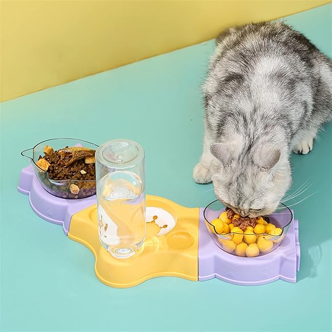 🏡Bebedero y Comedero Para Mascotas🐈