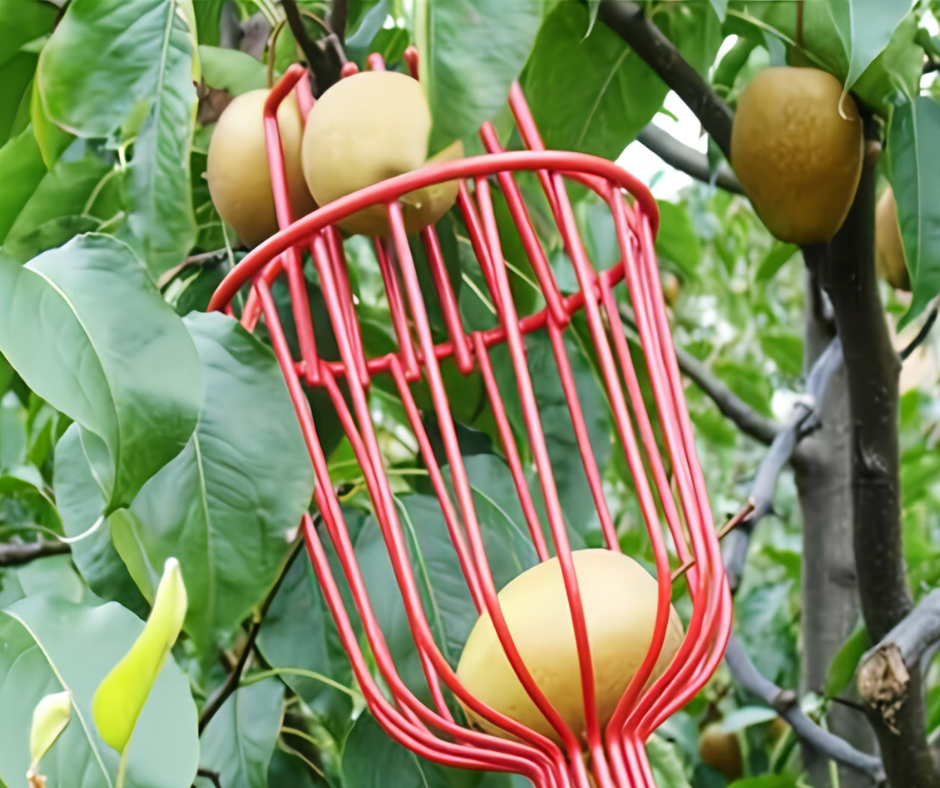 🍎Recolector Telescopico🍏