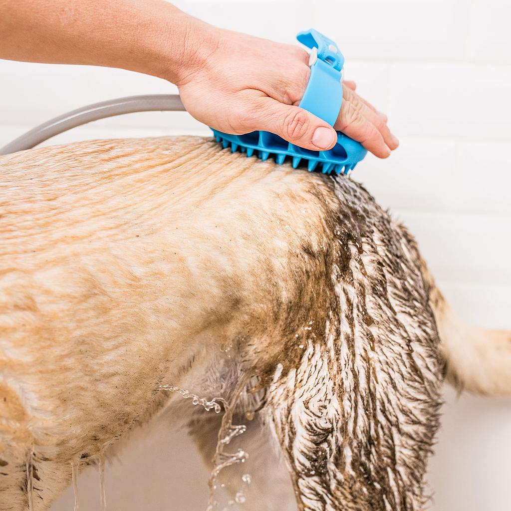 💦Manguera Para Mascotas🐕‍🦺