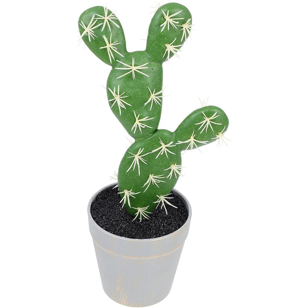 🎍Cactus decorativo🎍