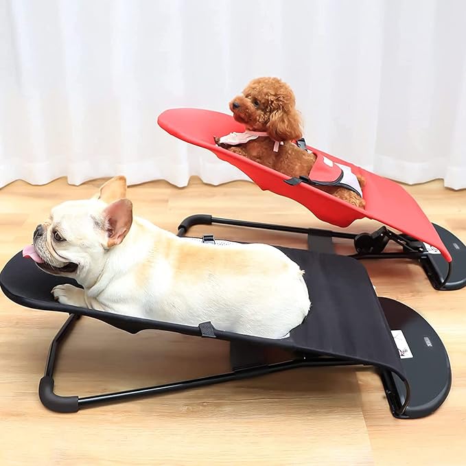 🐕Cama Para Mascotas Elevada🏡