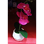 Orquideas Artificiales