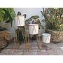 Soporte Para Plantas